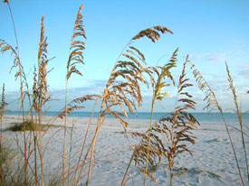 bowmans beach sanibel photo.jpg